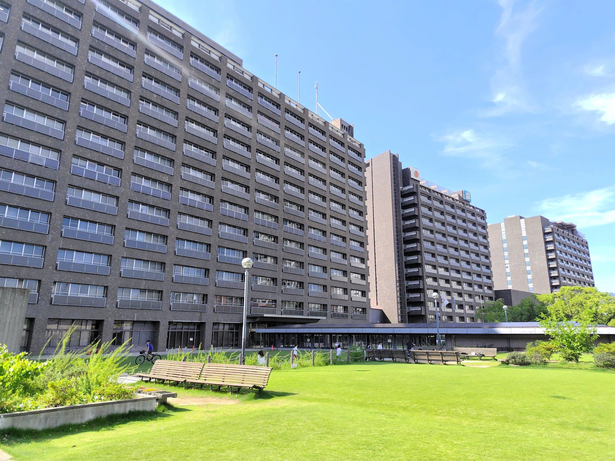 図・写真