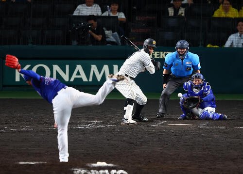 図・写真