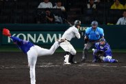 図・写真