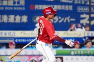 図・写真