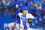 図・写真