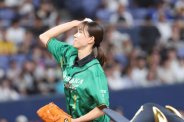 図・写真
