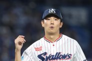 図・写真