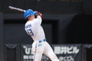 図・写真