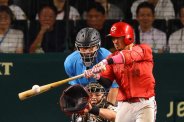 図・写真