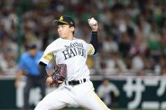 図・写真