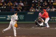 図・写真