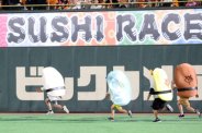 図・写真