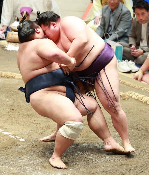 図・写真