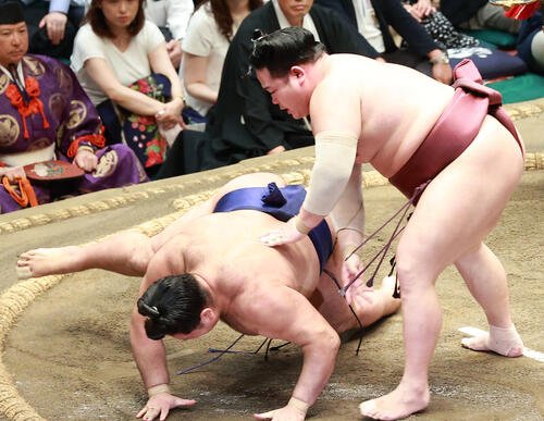 図・写真