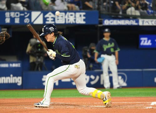 図・写真