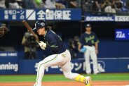 図・写真