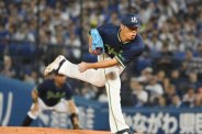 図・写真