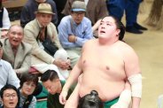 図・写真