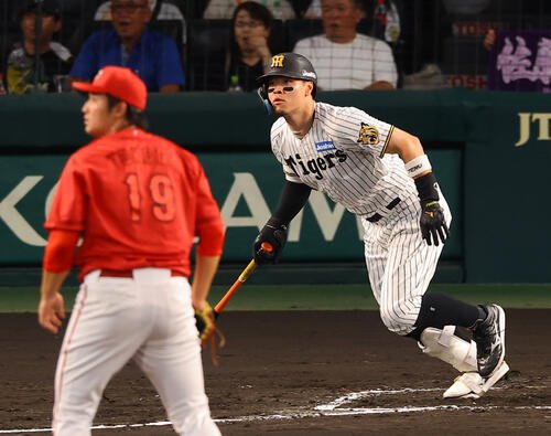 図・写真