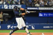 図・写真
