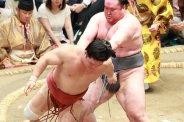 図・写真