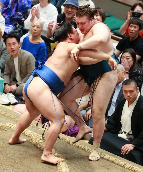 図・写真