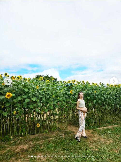 図・写真
