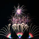 図・写真