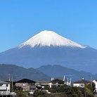 図・写真