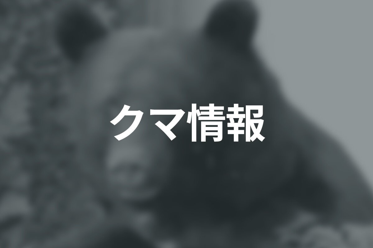 図・写真