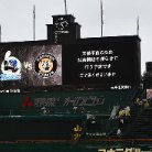 図・写真
