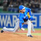 図・写真