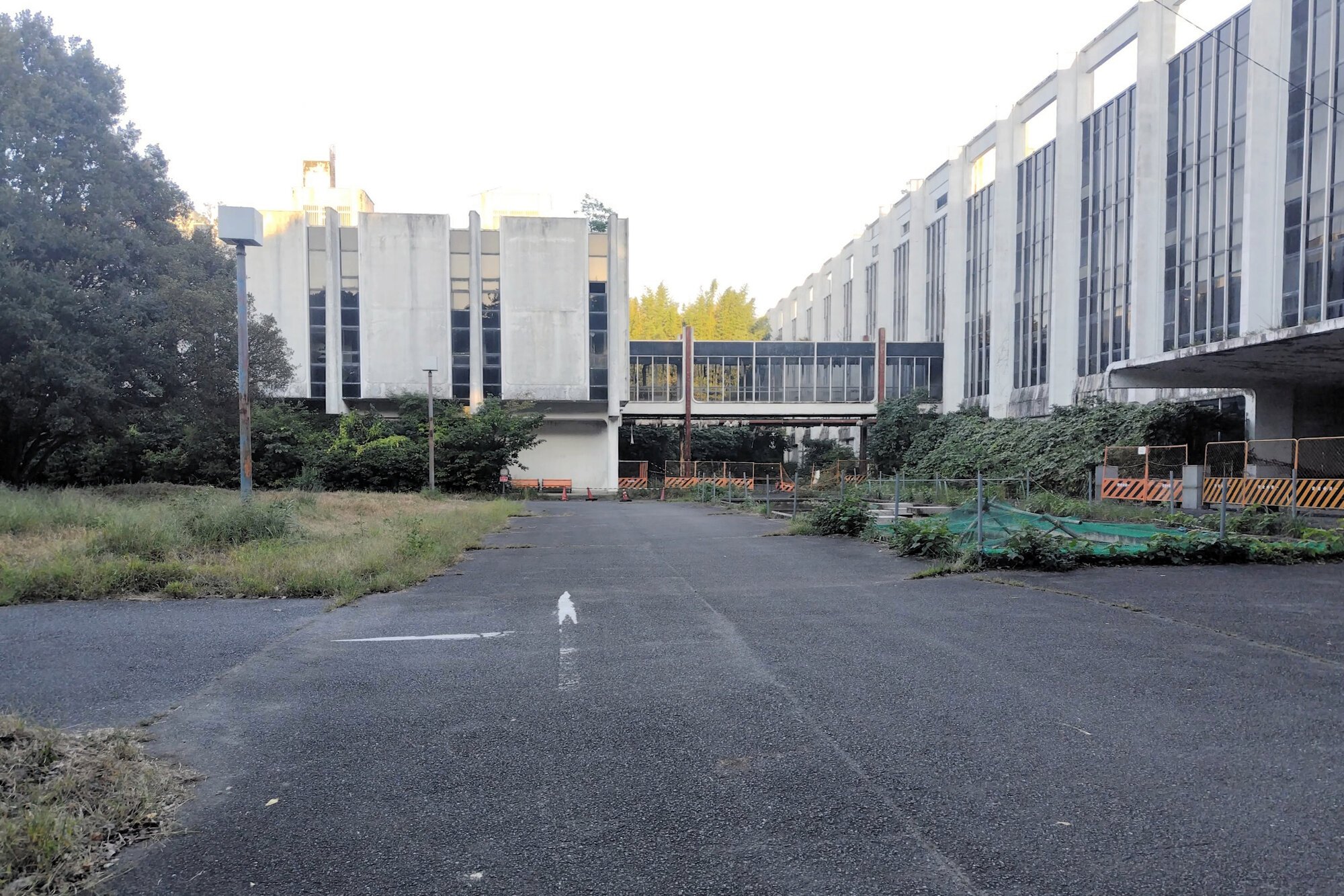 図・写真