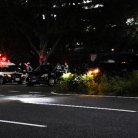 図・写真