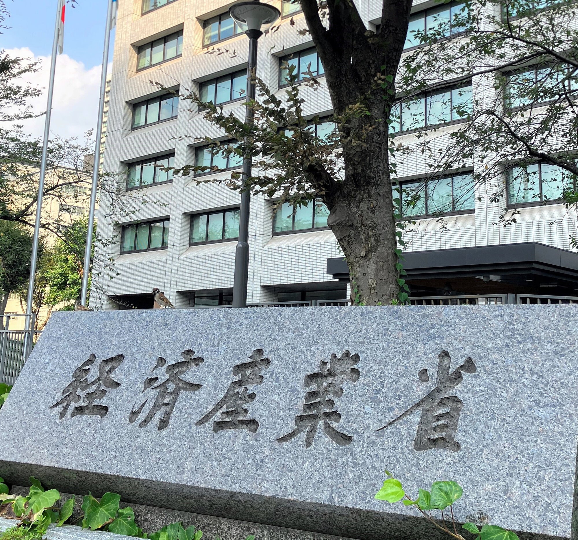 図・写真