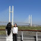 図・写真