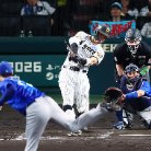 図・写真
