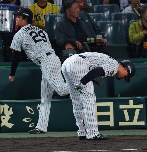 図・写真