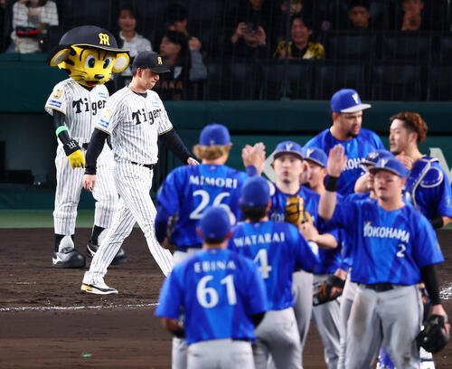 図・写真