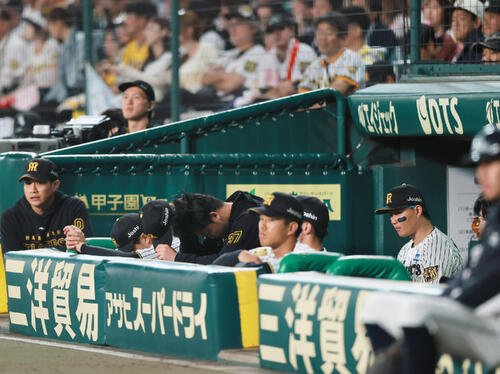 図・写真