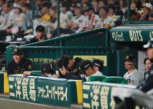 図・写真