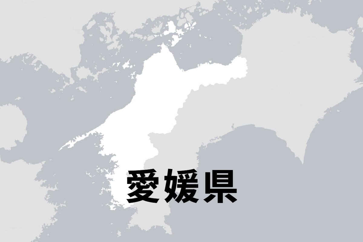 図・写真