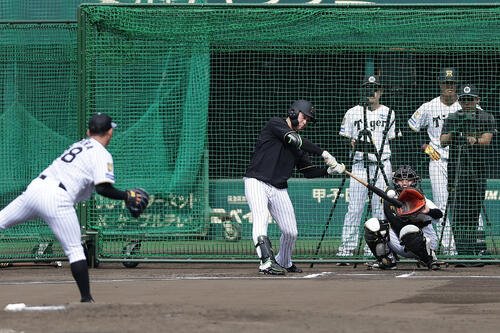 図・写真