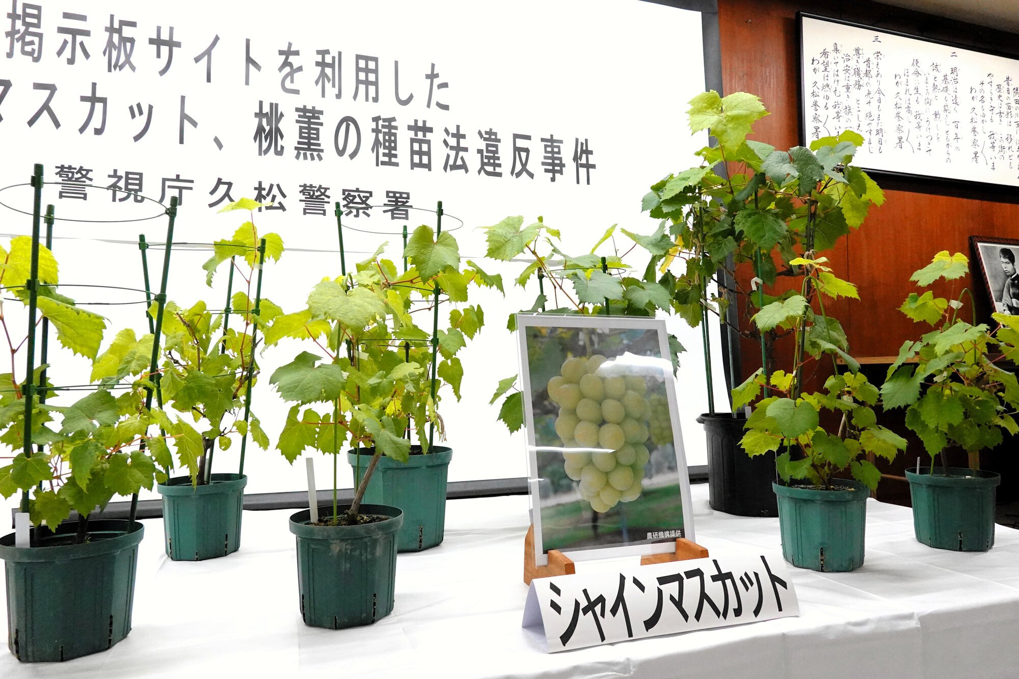 図・写真