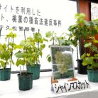 図・写真