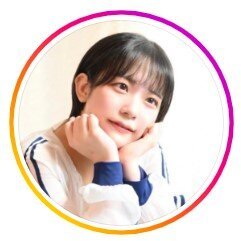 図・写真