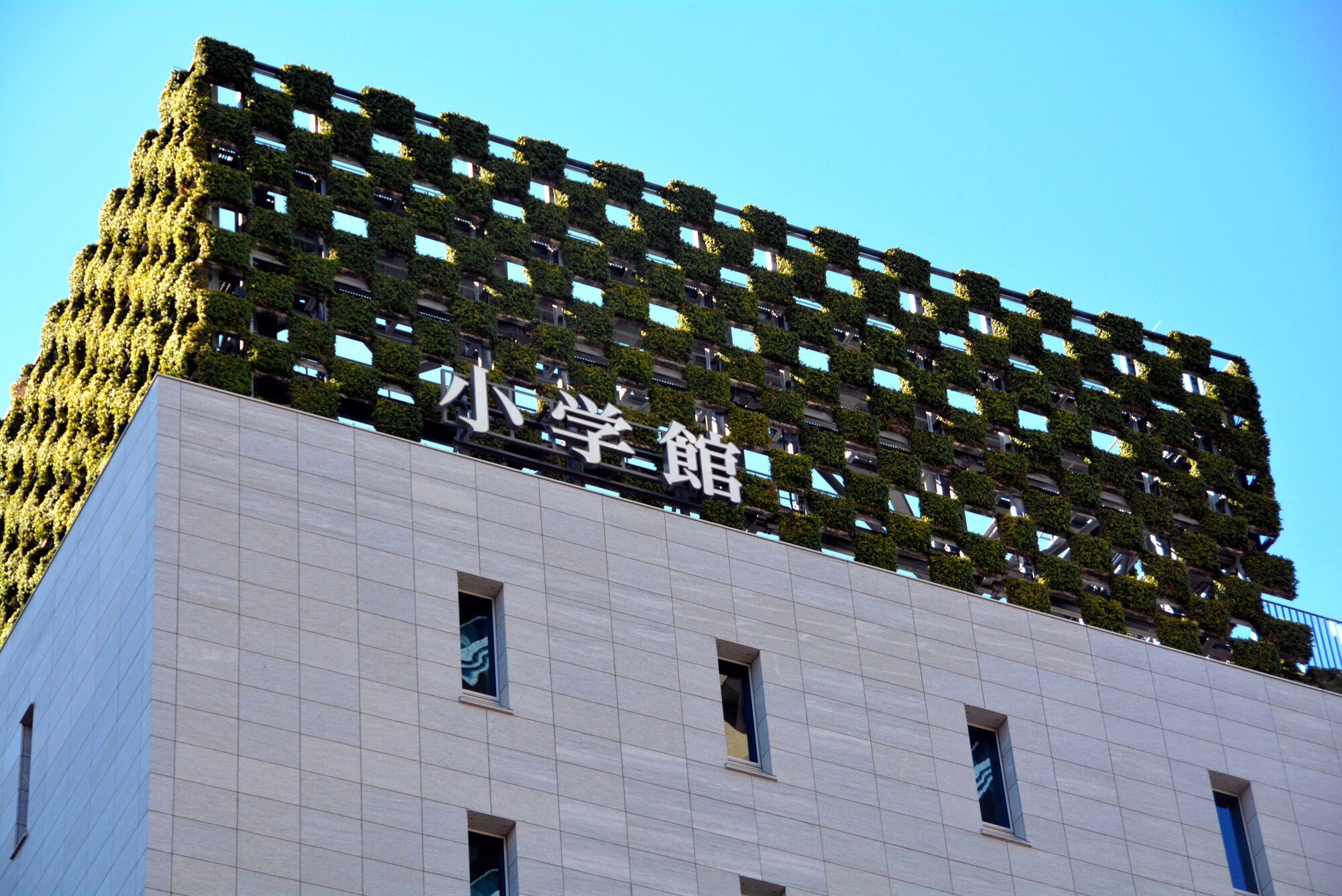 図・写真