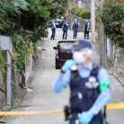 図・写真