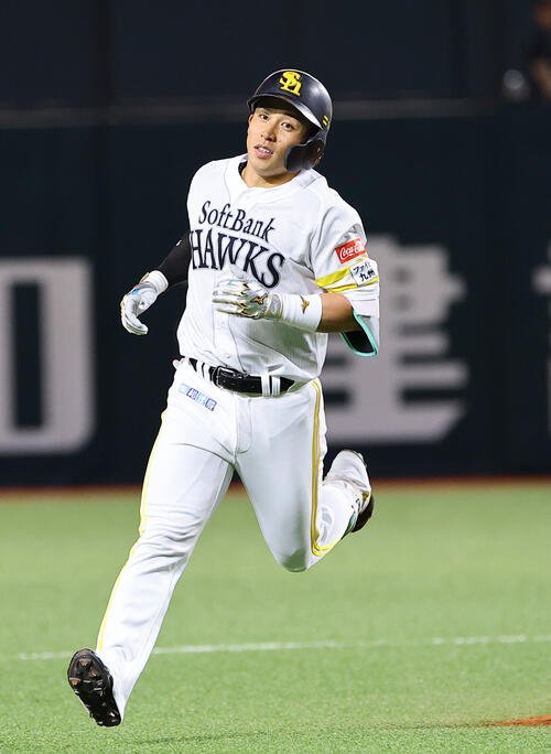 図・写真