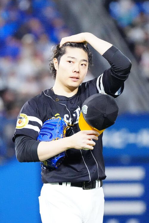 図・写真