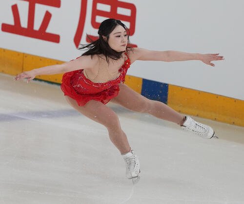 図・写真
